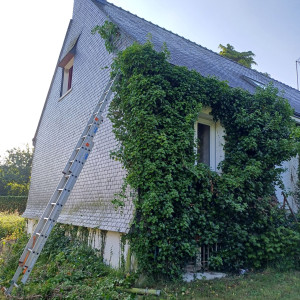 Photo de galerie - Taille de haies et d'arbustes