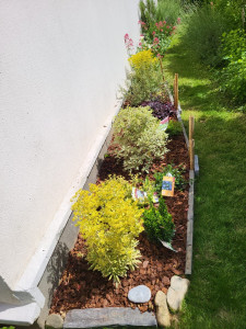 Photo de galerie - Paysagiste - Aménagement du jardin