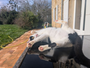 Photo de galerie - Azura