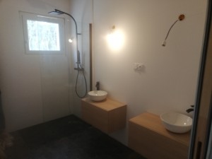 Photo de galerie - Pose de paroi de douche, de colonne de douche et de deux meubles + vasques