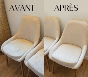 Photo de galerie - Je peux nettoyer les canapés, les tapis et la moquette.