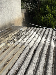 Photo de galerie - Nettoyage toiture de garage 