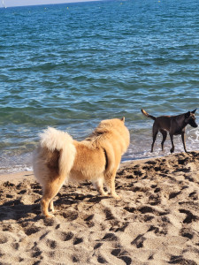 Photo de galerie - La belle vie 
