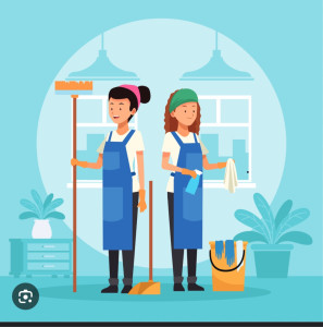 Photo de galerie - Nettoyage des maisons, nettoyage, rangement, repassage etc.