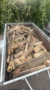 Photo de galerie - Abattage et façonnage d’arbre
