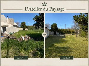 Photo de galerie - Tonte de pelouse et débroussaillage 