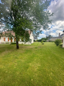 Photo de galerie - Tonte pelouse 