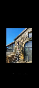 Photo de galerie - Karchériser la façade et élaguer la vigne ?