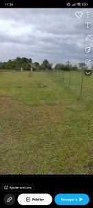 Photo de galerie - Tonte d'herbe terrain qui était délaissé depuis plusieurs années 
