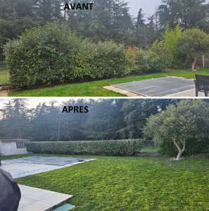 Photo de galerie - Taille de rabattage 