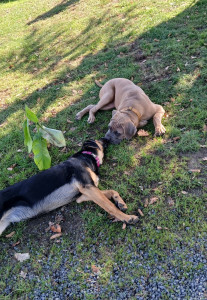 Photo de galerie - Que d'amour 