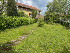 Photo de galerie - Tonte de pelouse - Débroussaillage