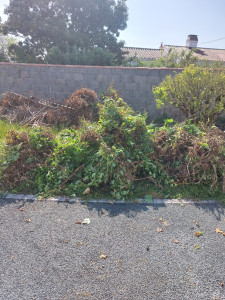 Photo de galerie - Jardinier