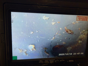 Photo de galerie - Furet  / Déboucheur de canalisation