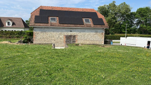 Photo de galerie - Elagage et coupe d'arbres