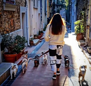 Photo de galerie - Garde chien