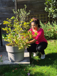 Photo de galerie - Entretien jardin