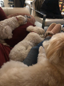 Photo de galerie - Si c est pas ça le bonheur !