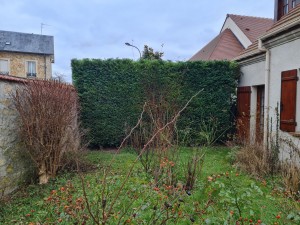 Photo de galerie - Taille de haies et d'arbustes