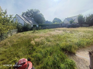 Photo de galerie - Réalisation de tonde de pelouse plus de débroussailleuse 