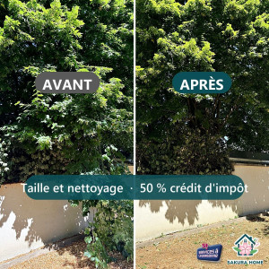 Photo de galerie - Elagage et coupe d'arbres
