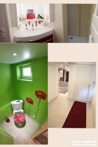 Photo de galerie - Création de WC avec pompe de relevage, rénovation d’un sous sol en pièce habitable