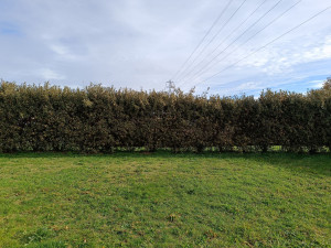 Photo de galerie - Avant 