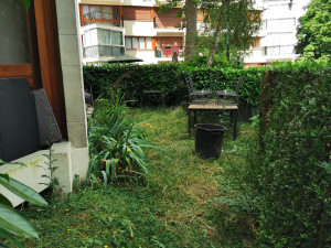 Photo de galerie - L'intervention de Taille des haies et tonte de pelouse et débroussaillage avant 
