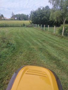 Photo de galerie - Tonte de pelouse - Débroussaillage