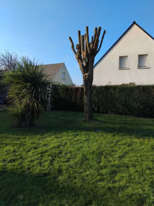 Photo de galerie - Après