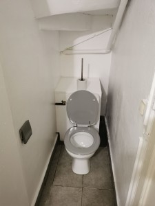 Photo de galerie - Remise au propre d'un toilette complet