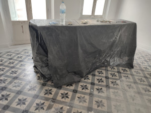 Photo de galerie - Avant décapage 