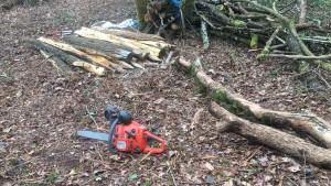Photo réalisation - Elagage et coupe d'arbres - Julio R. - Limoges (Carnot) : Élagage et découpe bois et déchets verts 