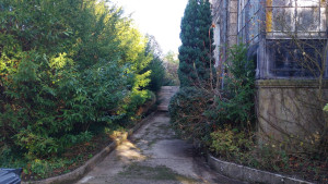 Photo de galerie - Après / Taille des arbustes & Nettoyage de l'allée.