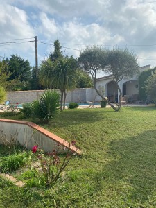 Photo de galerie - Tonte de pelouse - Débroussaillage