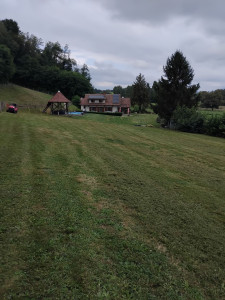 Photo de galerie - Tonte de pelouse - Débroussaillage