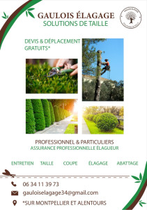 Photo de galerie - Entretiens de jardin avec la possibilité de l'aide à la personne 