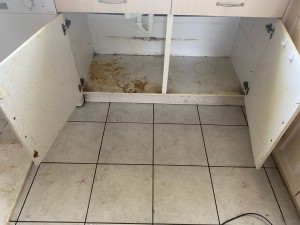 Photo de galerie - Ménage