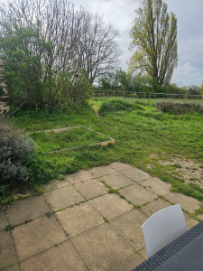 Photo de galerie - Tonte de pelouse - Débroussaillage