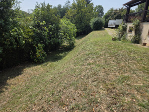 Photo de galerie - Tente de pelouse et débroussaillage.