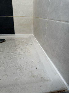 Photo de galerie - Découpe/extraction de l’ancien joint en silicone et mise en place du nouveau