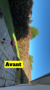 Photo de galerie - Avant la taille 