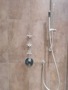 Photo de galerie - Remplacement cartouche et inverseurs sur robinet encastré de douche 
