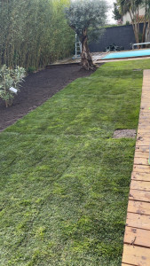 Photo de galerie - Pose de rouleaux gazon naturel