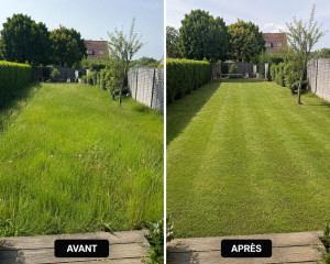 Photo de galerie - Tonte de pelouse - Débroussaillage