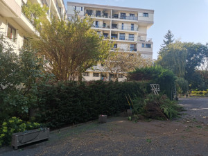 Photo de galerie - Paysagiste - Aménagement du jardin