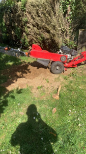 Photo de galerie - Elagage et coupe d'arbres