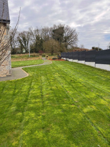 Photo de galerie - Tonte d'une pelouse