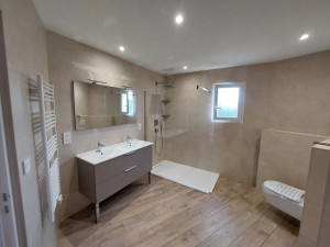 Photo de galerie - Salle de bain suite démolition