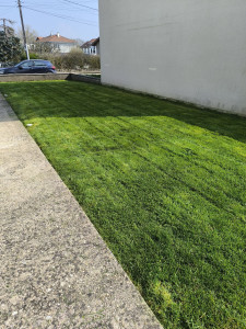 Photo de galerie - Tonte de pelouse et débroussaillage 